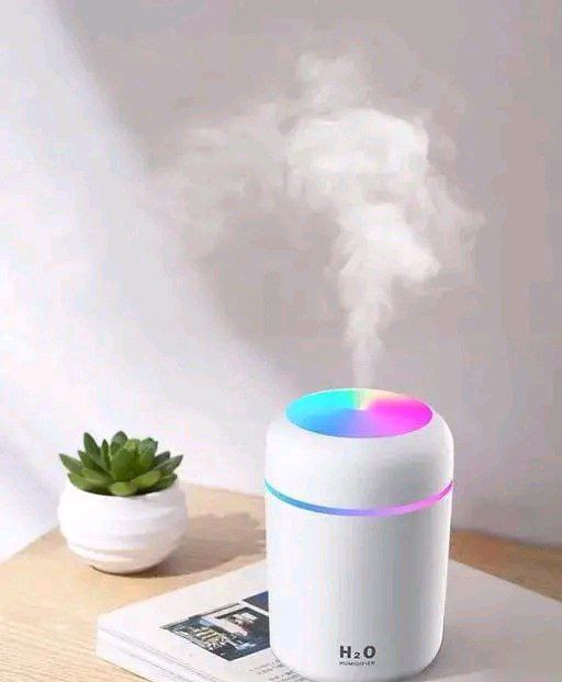 H2O Humidifier