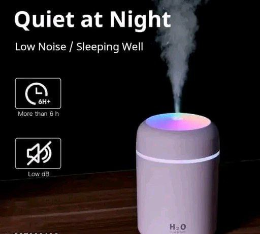H2O Humidifier