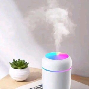 H2O Humidifier